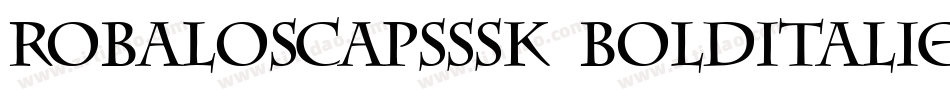 RobaloSCapsSSK BoldItalic字体转换
